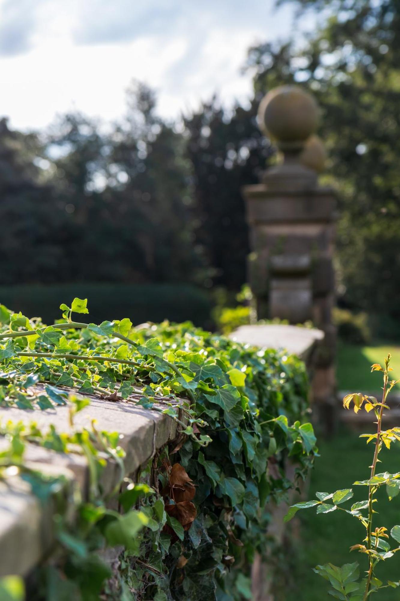 Bosworth Hall Hotel & Spa Market Bosworth Extérieur photo